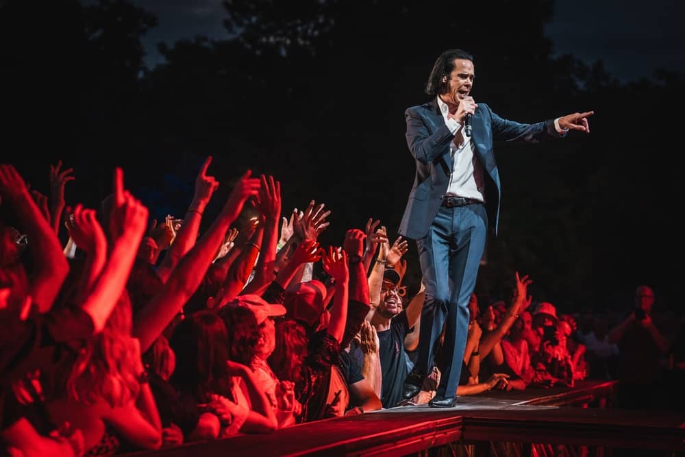 Foto: Jack Flynn / Shutterstock.com